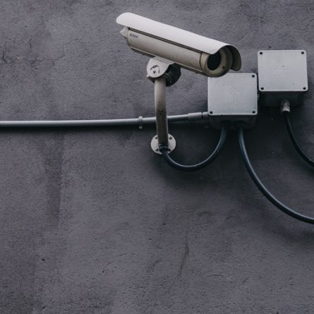 vizinhança colaborativa